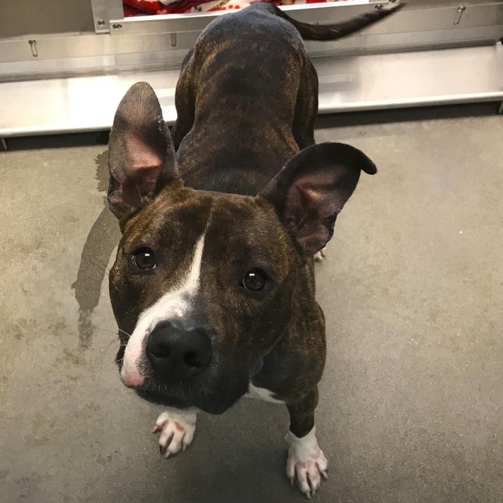 Photo of Buster Brown 6