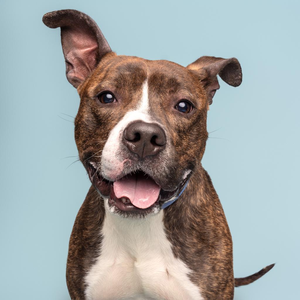 Photo of Buster Brown