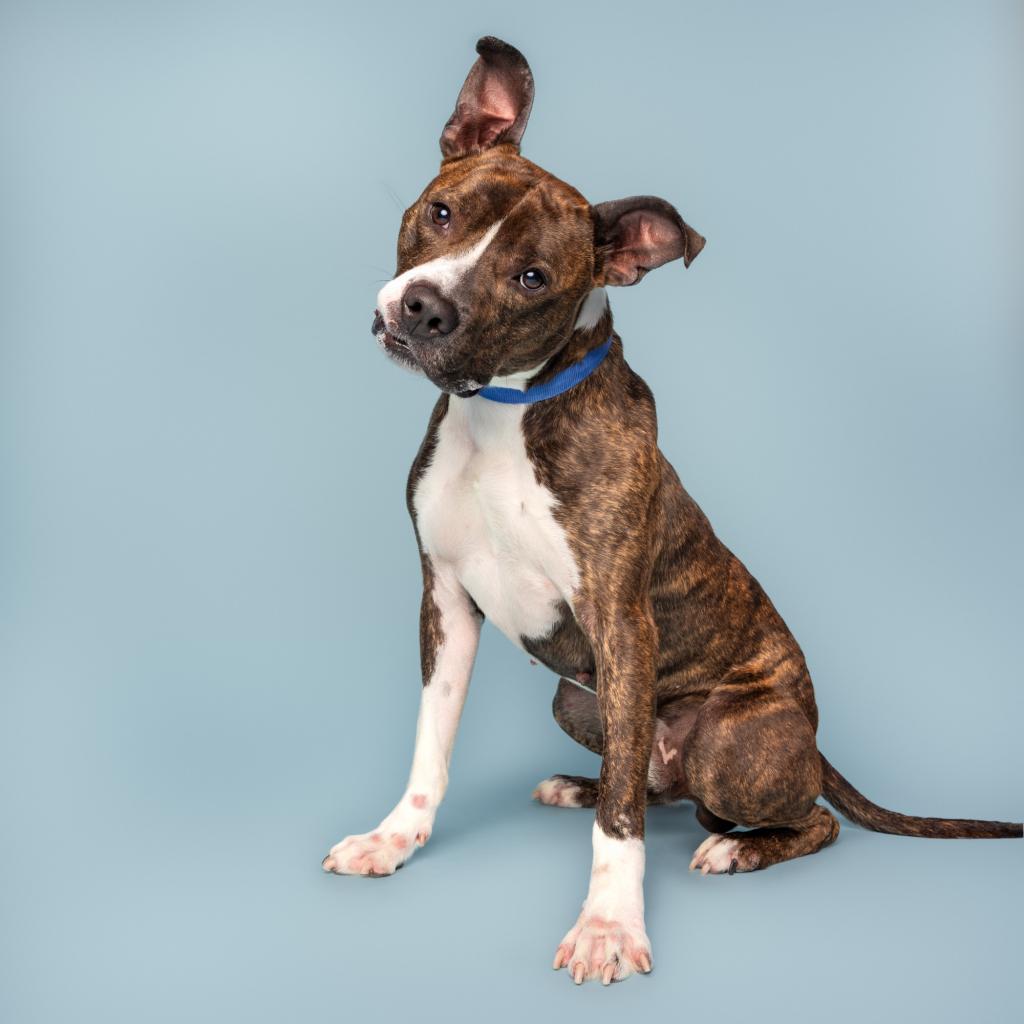 Photo of Buster Brown 9