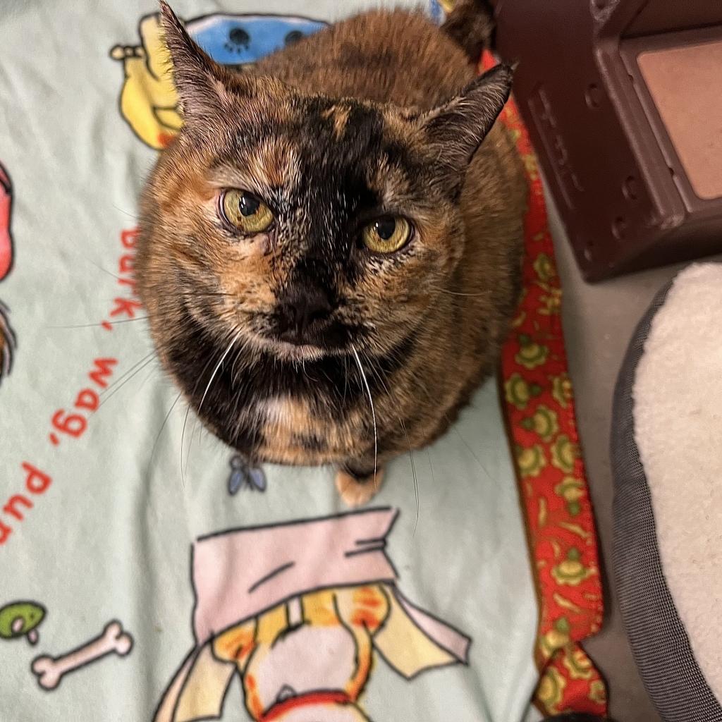 Photo of Baby Girl