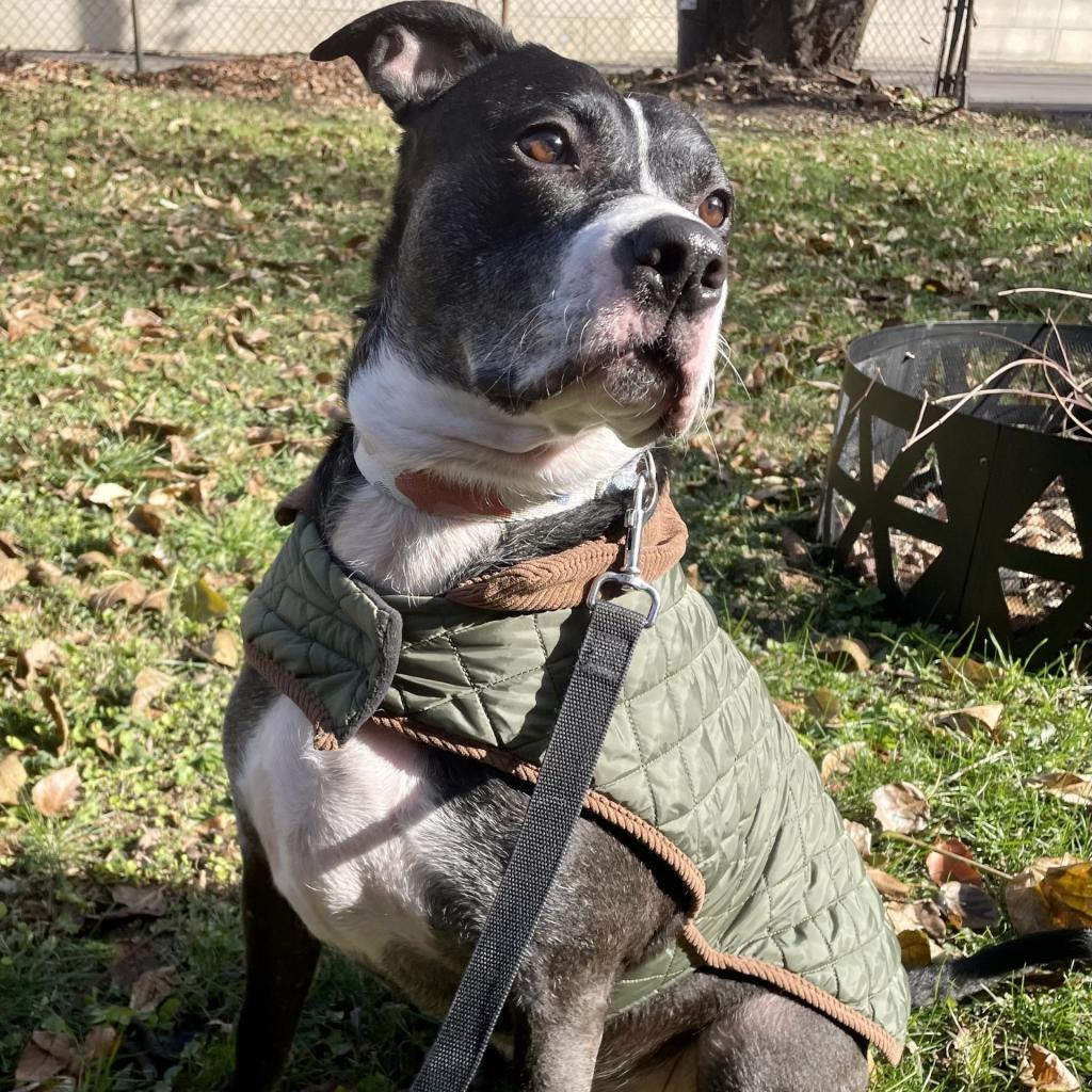 Photo of Lily
