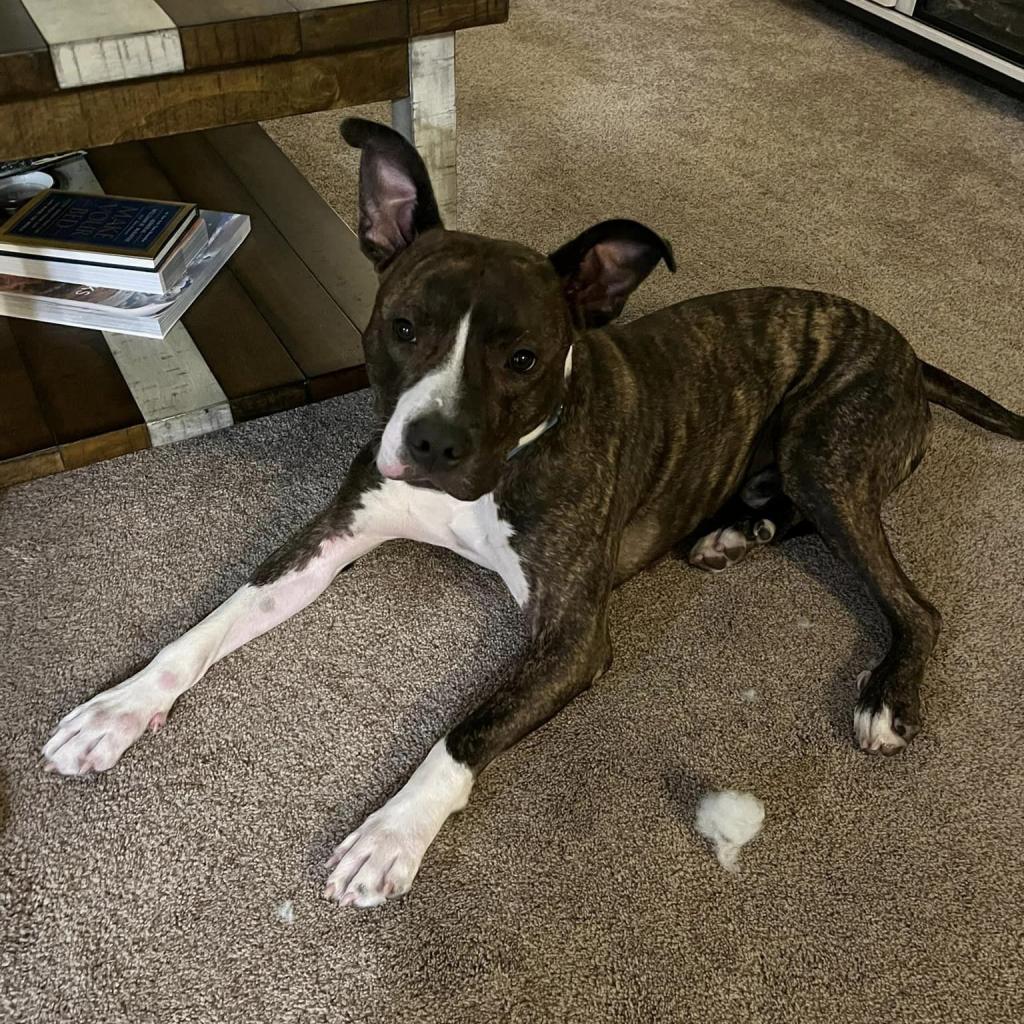 Photo of Buster Brown 10
