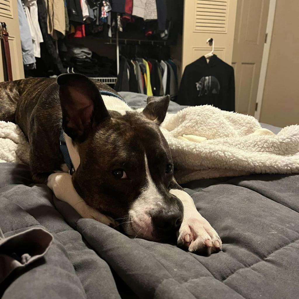 Photo of Buster Brown 11