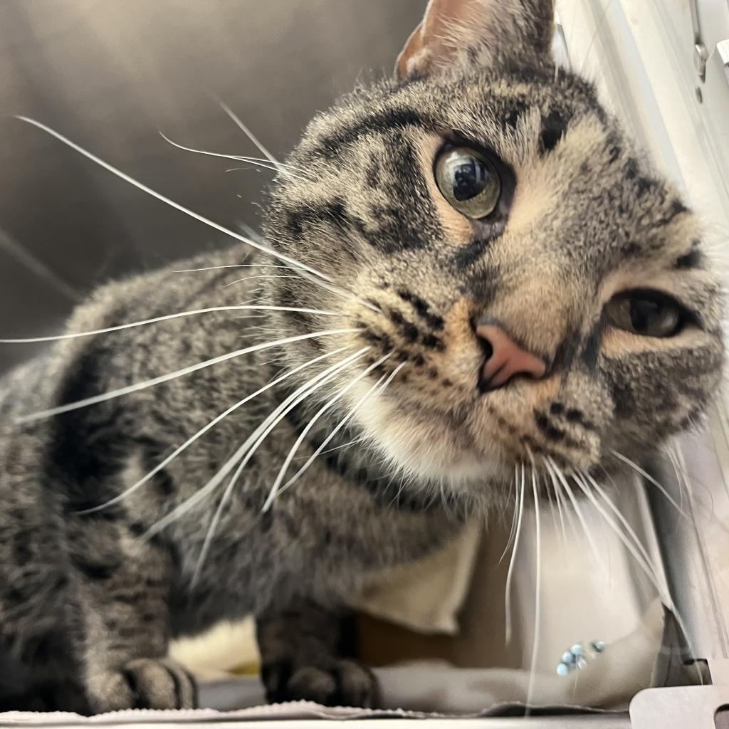 Photo of Moe 5