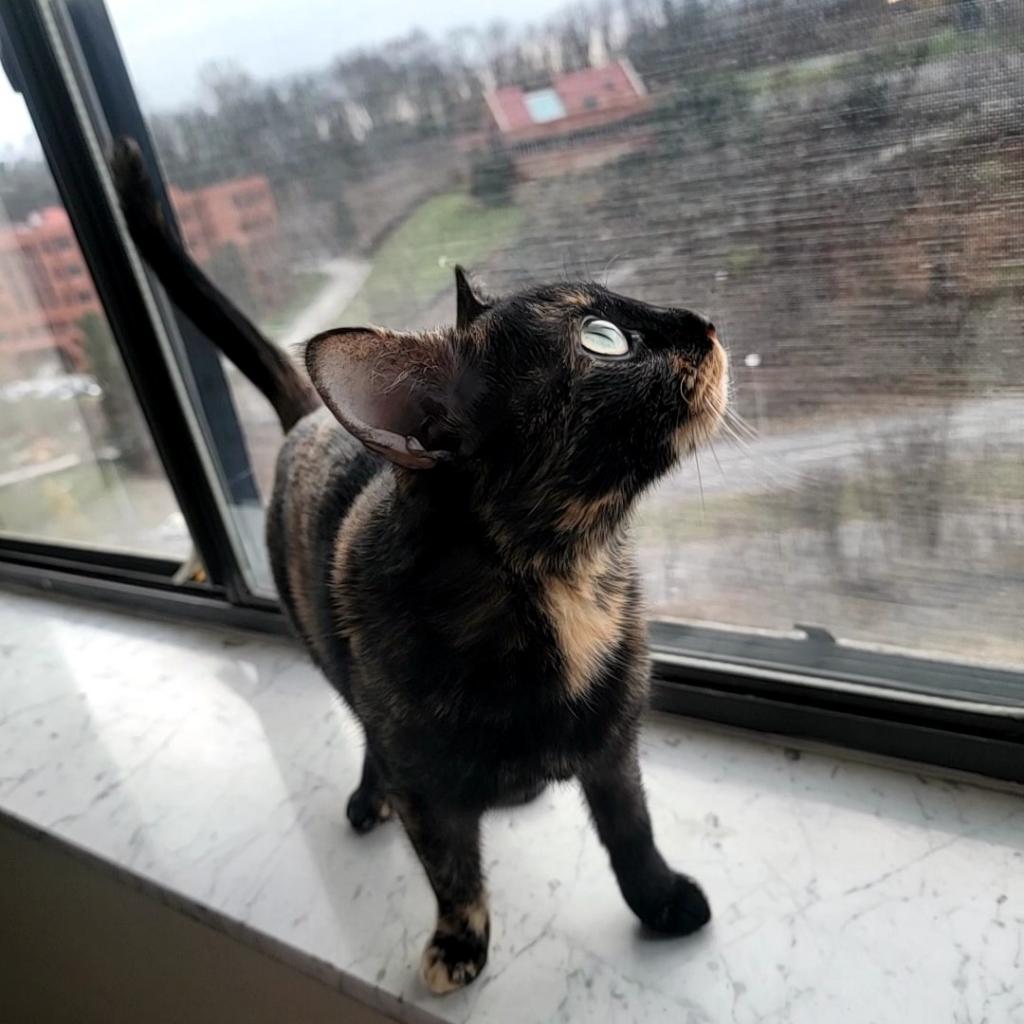 Photo of Stormi