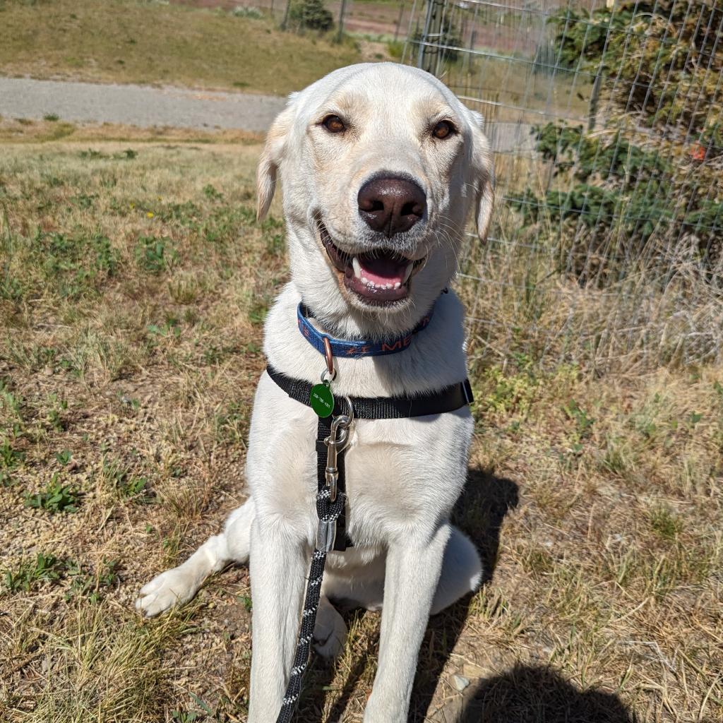 Zoey