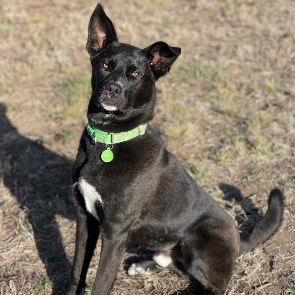 Zuko