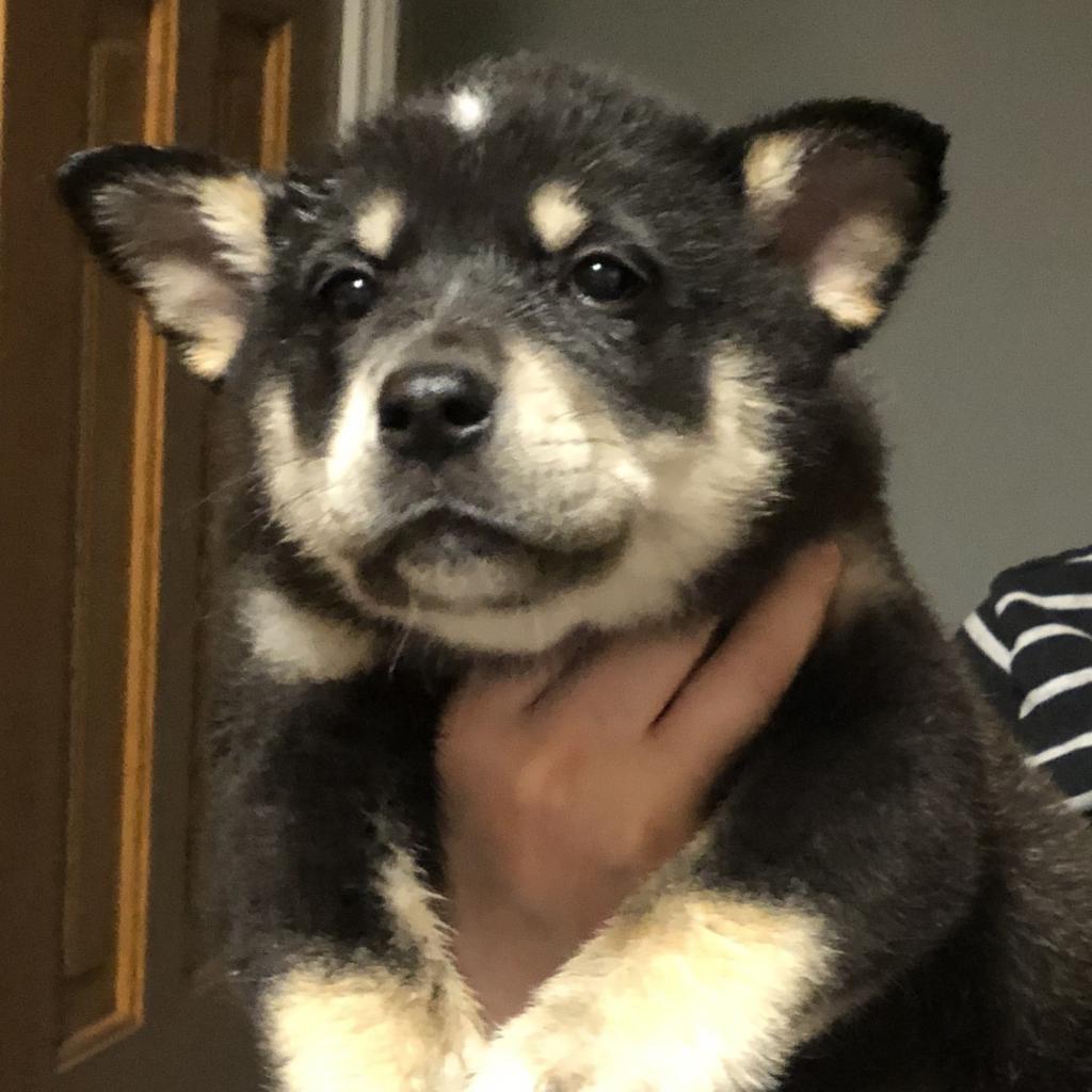 6305