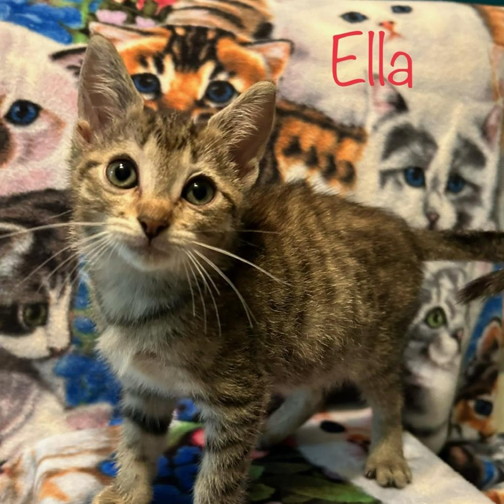 Ella (formerly Kuzco)