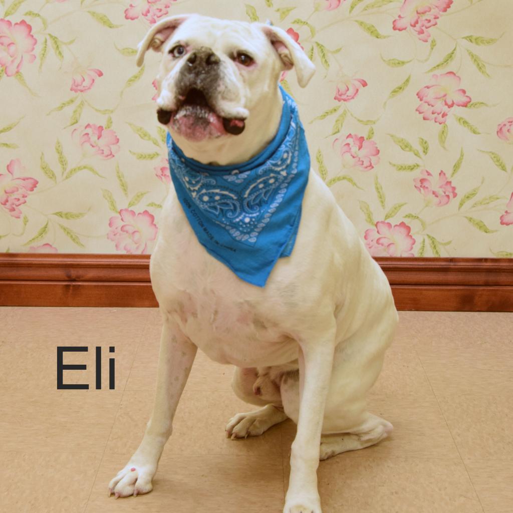 Photo of Eli 6