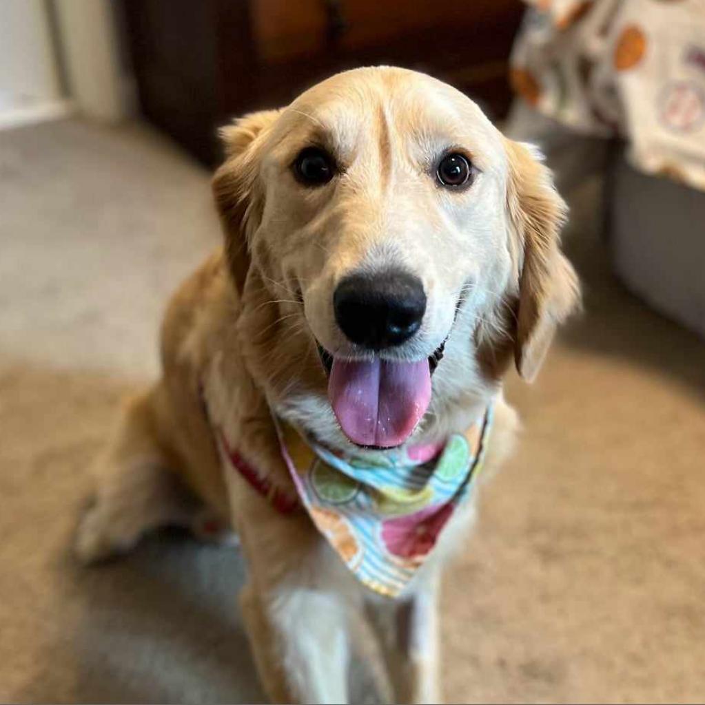 Waylon