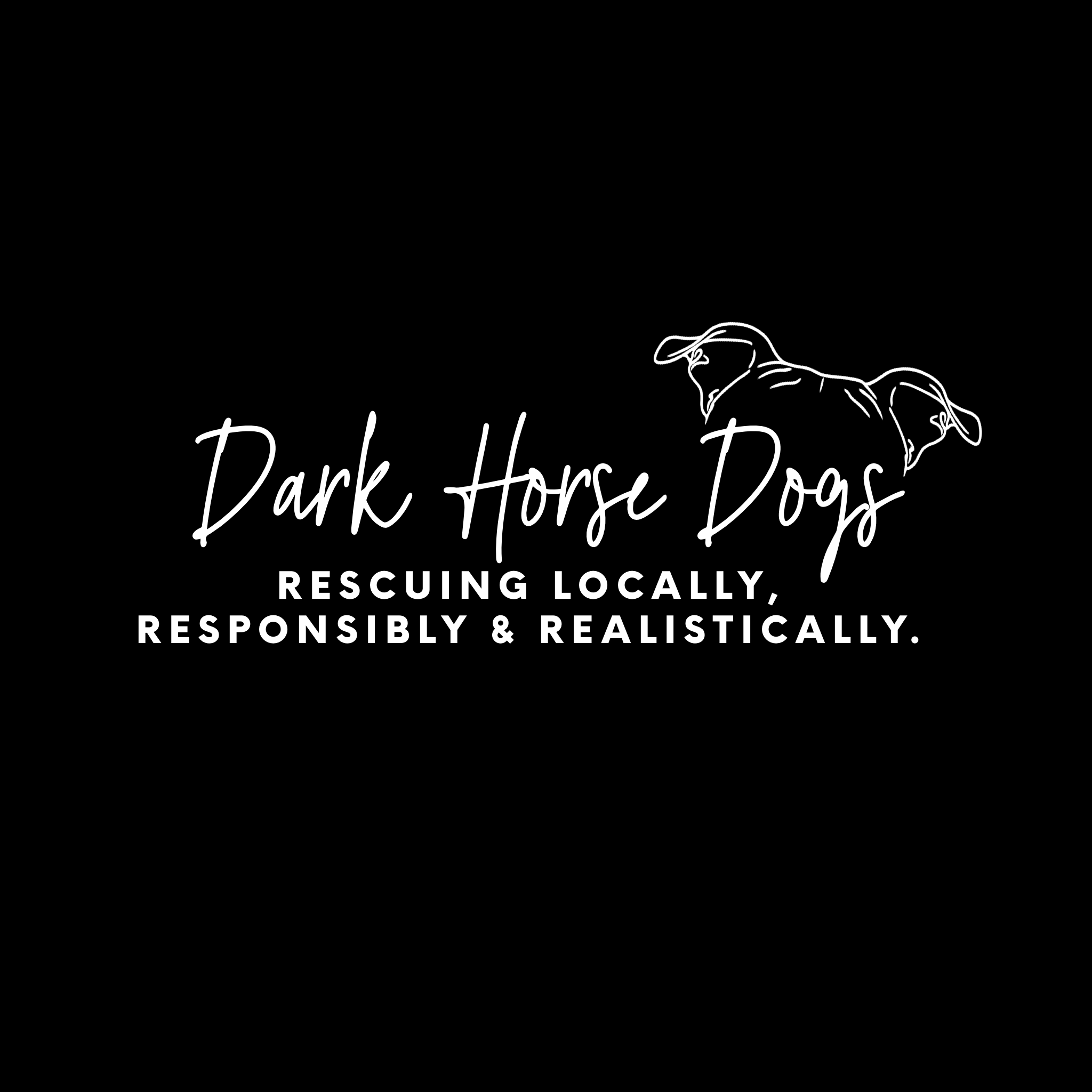 Dark Horse Dogs, NFP