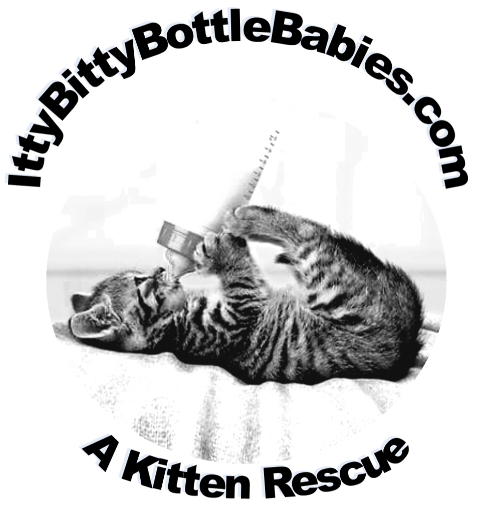 Itty Bitty Bottle Babies, Inc.