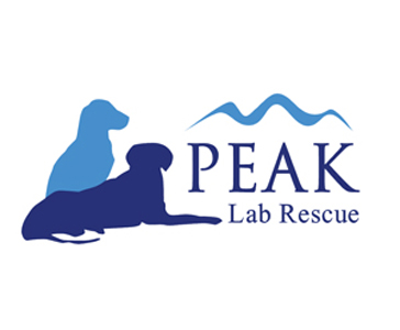 Peak Lab Rescue