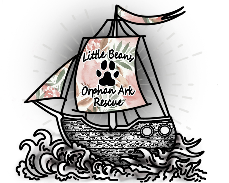 Little Beans Orphan Ark Rescue