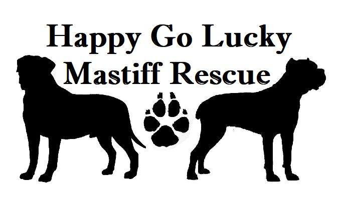 Happy Go Lucky Mastiff Rescue