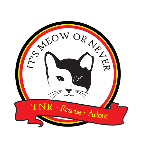 It's Meow or Never for Ferals, Inc.