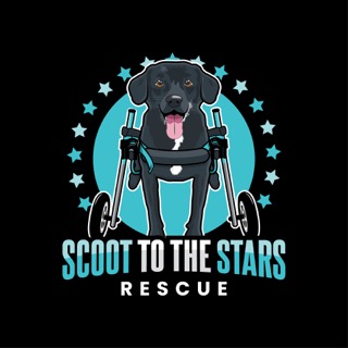 Scoot to the Stars Rescue