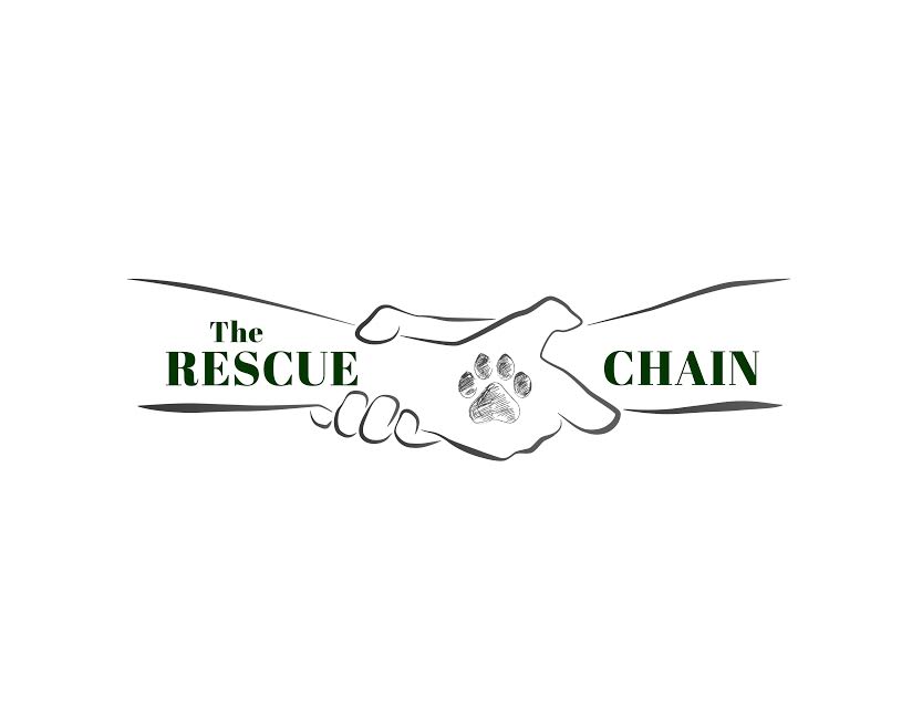 The Rescue Chain Foundation