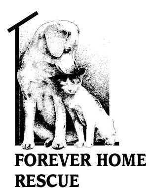 Forever Home Rescue