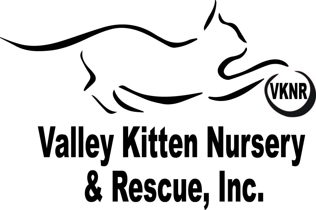 Valley Kitten Nursery and Rescue