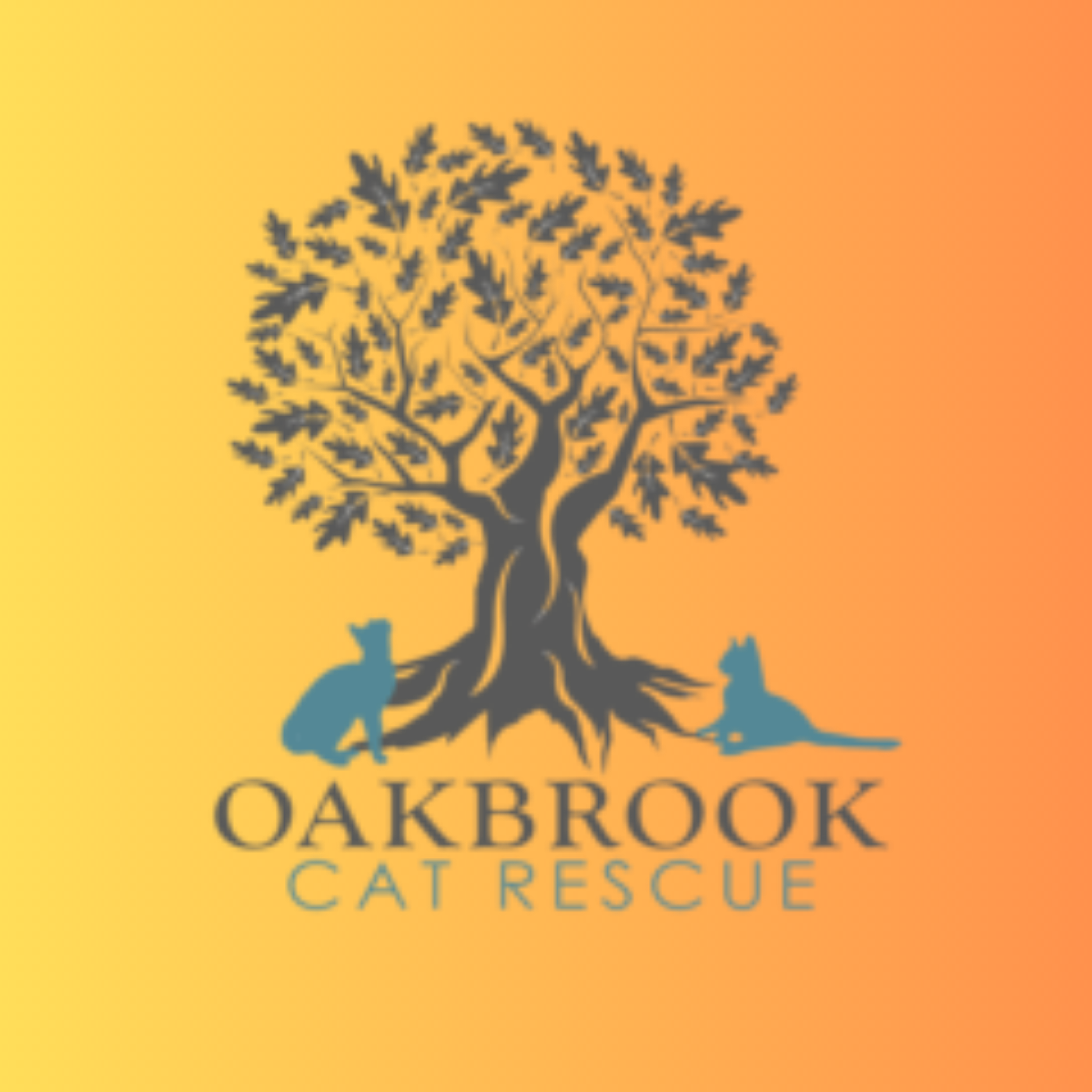 Oakbrook Cat Rescue