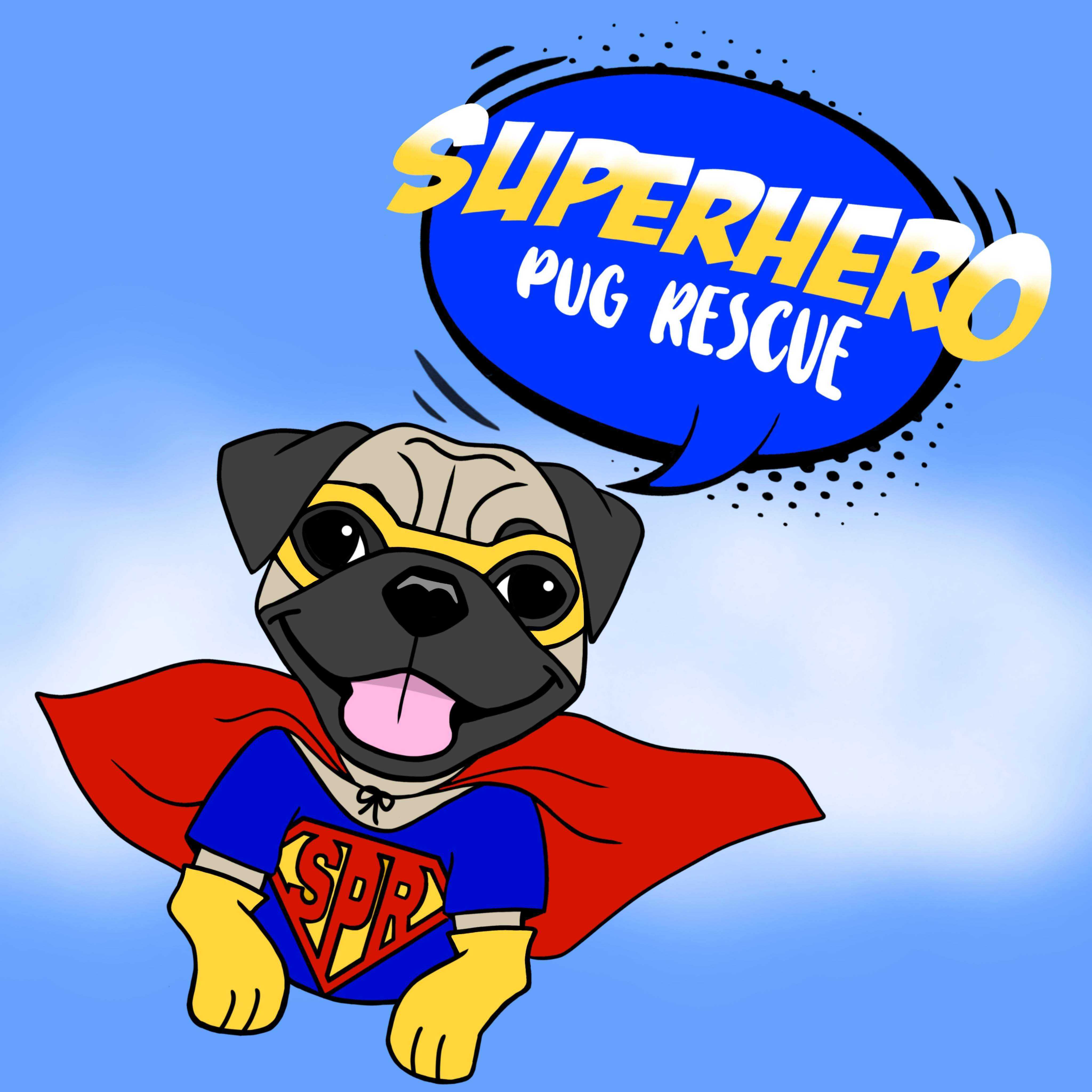 Superhero Pug Rescue