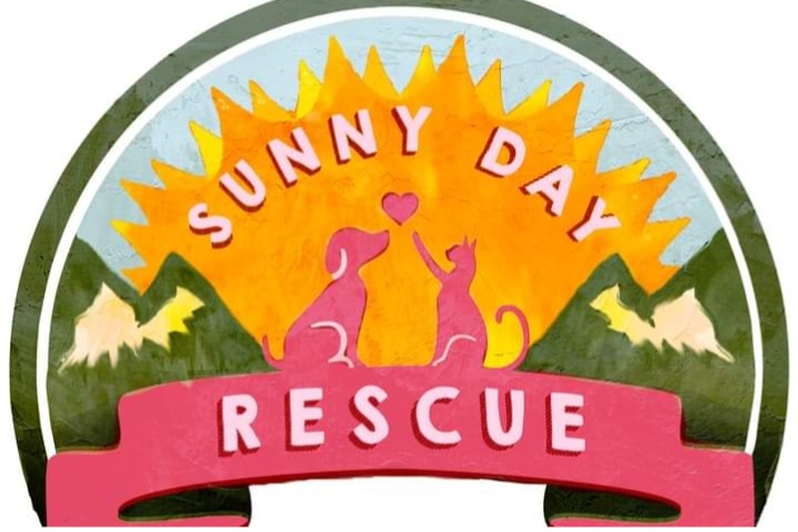 Sunny Day Rescue