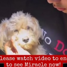 video thumb