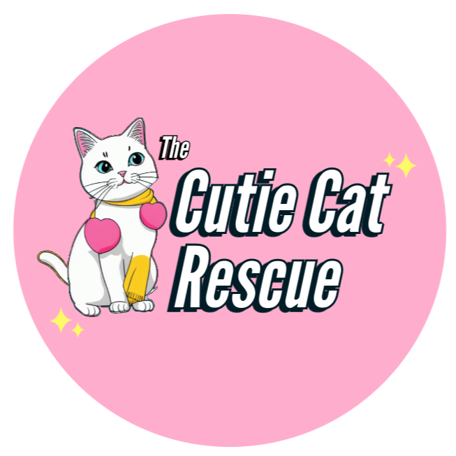The Cutie Cat Rescue