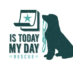 Is Today My Day Rescue